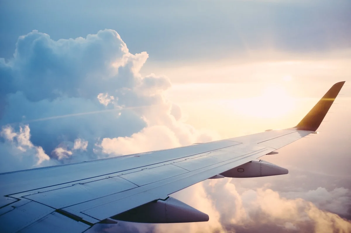 International travel and visa consultation